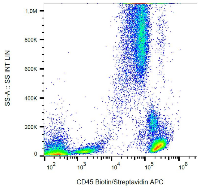 CD45 / LCA Antibody - Surface staining of human peripheral blood cells with anti-human CD45 (MEM-28) biotin.