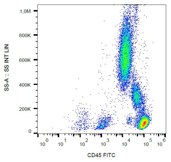 CD45 / LCA Antibody - Surface staining of human peripheral blood cells with anti-human CD45 (MEM-28) FITC.