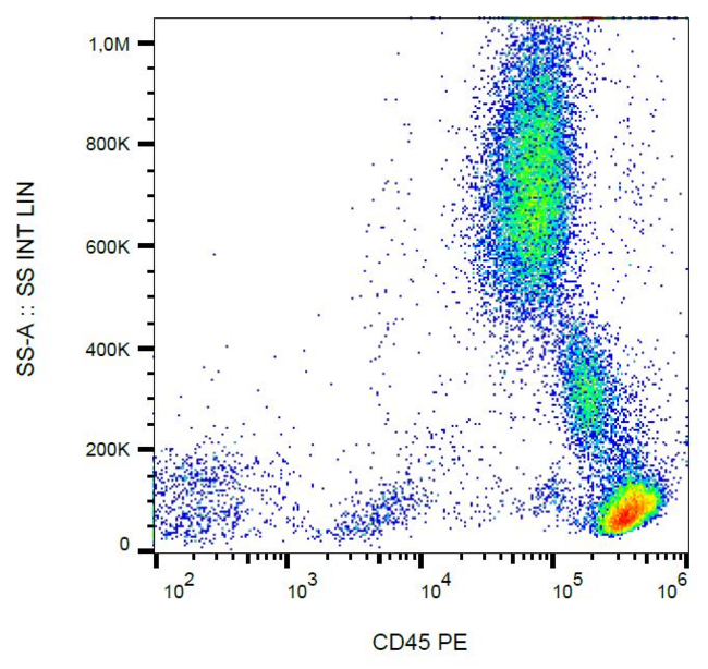 CD45 / LCA Antibody - Surface staining of human peripheral blood cells with anti-human CD45 (MEM-28) PE.