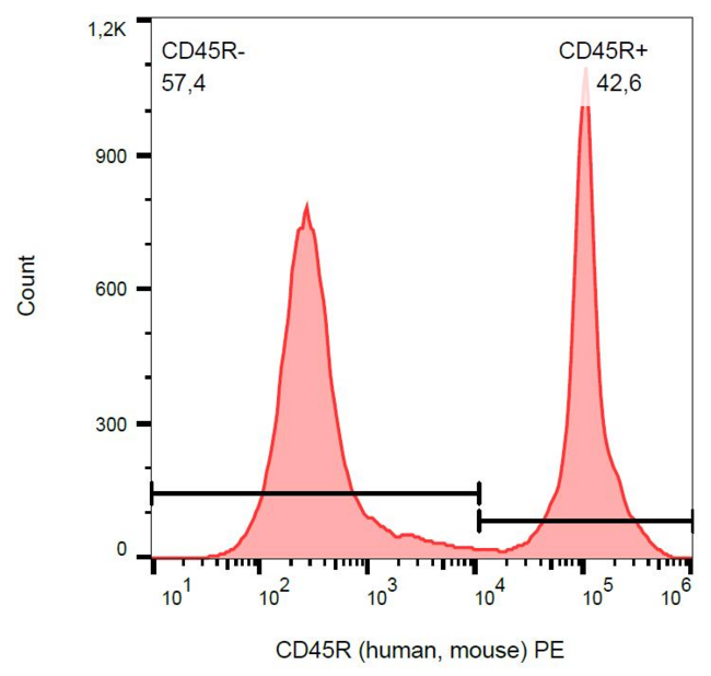 CD45 / LCA Antibody - Surface staining of CD45R in murine splenocytes with anti-CD45R (RA3-6B2) PE. 