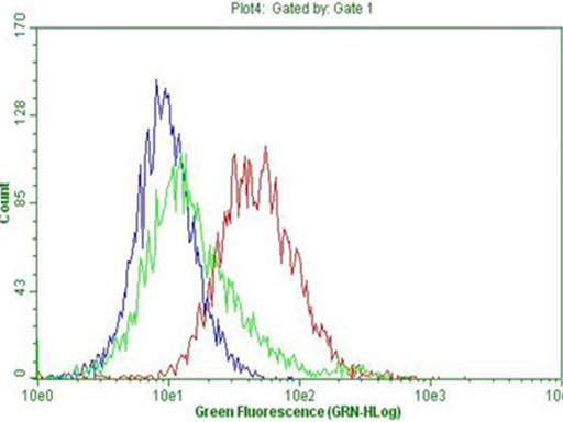 CD45 / LCA Antibody - Flow cytometric Analysis of living Jurkat cells, using anti-CD45RO antibody. (Red), compared to a nonspecific negative control antibody. (green), and PBS. (blue). (1:100)