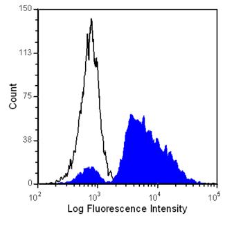 CD45 / LCA Antibody - Human peripheral blood lymphocytes were stained with anti-CD45R (clone: YTH 80.103) (filled histogram) or Rat IgG2b isotype control (open histogram).