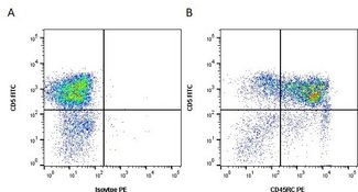 CD45RC Antibody - Figure A. FITC conjugated Mouse anti Pig CD5 and Mouse IgG1 isotype control detected with Goat anti Mouse IgG1:RPE. Figure B. FITC conjugated Mouse anti Pig CD5 and Mouse anti Pig CD45RC detected with Goat anti Mouse IgG1:RPE. All experiments performed on red cell lysed porcine blood gated on lymphocytes in the presence of 10% pig serum. Data acquired on the ZE5™ Cell Analyzer.