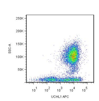 CD45RO Antibody - Surface staining of human peripheral blood leukocytes by mouse monoclonal anti-CD45R0 antibody UCHL1.