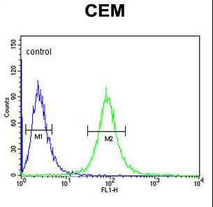 CD46 Antibody - CD46 Antibody flow cytometry of CEM cells (right histogram) compared to a negative control cell (left histogram). FITC-conjugated goat-anti-rabbit secondary antibodies were used for the analysis.