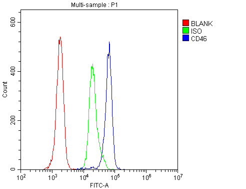 CD46 Antibody - Flow Cytometry analysis of H-PBMC cells using anti-CD46 antibody. Overlay histogram showing H-PBMC cells stained with anti-CD46 antibody (Blue line). The cells were blocked with 10% normal goat serum. And then incubated with rabbit anti-CD46 Antibody (1µg/1x106 cells) for 30 min at 20°C. DyLight®488 conjugated goat anti-rabbit IgG (5-10µg/1x106 cells) was used as secondary antibody for 30 minutes at 20°C. Isotype control antibody (Green line) was rabbit IgG (1µg/1x106) used under the same conditions. Unlabelled sample (Red line) was also used as a control.