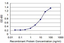 CD46 Antibody - Detection limit for recombinant GST tagged CD46 is approximately 1 ng/ml as a capture antibody.