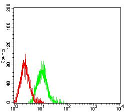 CD46 Antibody - Flow cytometric analysis of HL-60 cells using CD46 mouse mAb (green) and negative control (red).