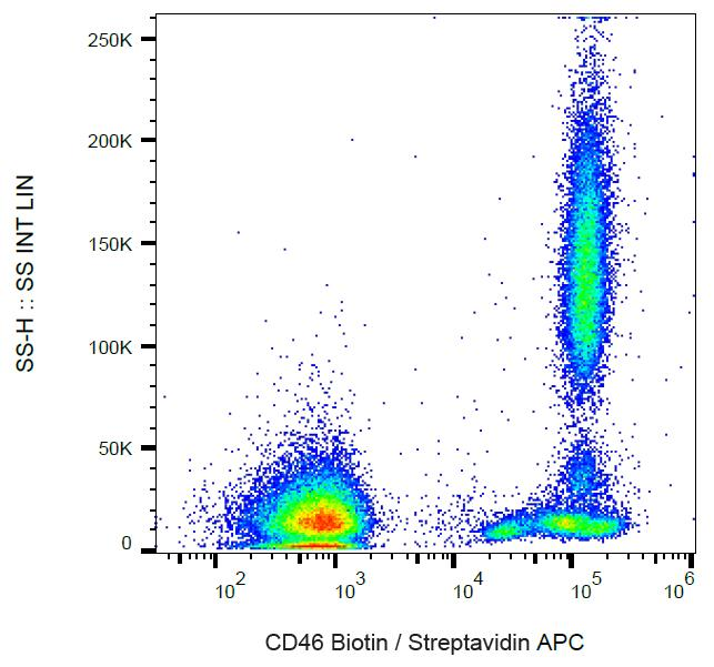 CD46 Antibody - Surface staining of human peripheral blood cells with anti-CD46 (MEM-258) biotin.