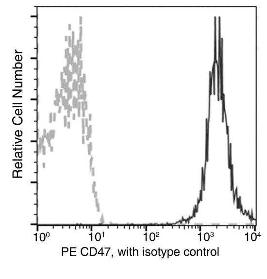 CD47 Antibody - Flow cytometric analysis of Human CD47 expression on human whole blood lymphocytes. Cells were stained with PE-conjugated anti-Human CD47. The fluorescence histograms were derived from gated events with the forward and side light-scatter characteristics of viable lymphocytes.