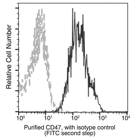 CD47 Antibody - Flow cytometric analysis of Human CD47 expression on human whole blood lymphocytes. Cells were stained with purified anti-Human CD47, then a FITC-conjugated second step antibody. The fluorescence histograms were derived from gated events with the forward and side light-scatter characteristics of viable lymphocytes.