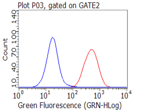CD47 Antibody - Flow cytometric Analysis of living K562 cells, using anti-CD47 antibody. (Red), compared to a mouse IgG control. (Blue). (1:100)