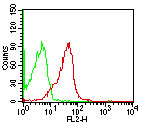 CD47 Antibody - Cell surface flow cytometry of CD47 on human peripheral blood lymphocytes using 0.5 ug/0.5x10^6 cells of Monoclonal Antibody to human CD47 (Clone B6H12.2) Azide-free. Green histogram represents isotype control ( This image was taken for the unmodified form of this product. Other forms have not been tested.