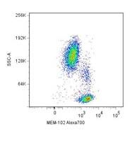 CD48 Antibody - CD48 Antibody in Flow Cytometry (Flow)