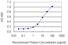 CD5 Antibody - Detection limit for recombinant GST tagged CD5 is 0.3 ng/ml as a capture antibody.