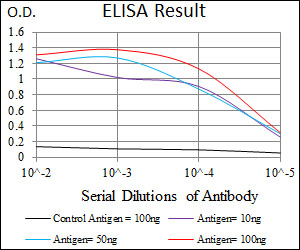 CD5 Antibody - Red: Control Antigen (100ng); Purple: Antigen (10ng); Green: Antigen (50ng); Blue: Antigen (100ng);