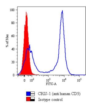 CD5 Antibody - Flow Cytometry analysis of human Peripheral Blood Lymphocytes (PBL) stained with CRIS1 antibody (blue; dilution of purified antibody 1 µg/ml);  overlay with mouse IgG2a isotype control (red).