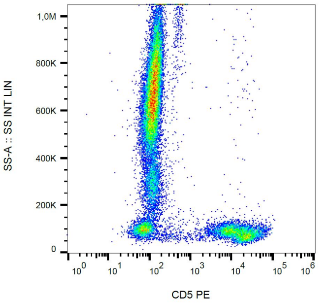 CD5 Antibody - Surface staining of CD5 in human peripheral blood cells with anti-CD5 (L17F12) PE.