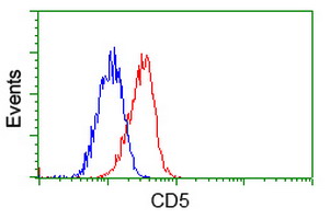 CD5 Antibody - Flow cytometric Analysis of Jurkat cells, using anti-CD5 antibody, (Red), compared to a nonspecific negative control antibody, (Blue).