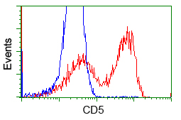 CD5 Antibody - HEK293T cells transfected with either overexpress plasmid (Red) or empty vector control plasmid (Blue) were immunostained by anti-CD5 antibody, and then analyzed by flow cytometry.