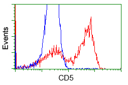 CD5 Antibody - HEK293T cells transfected with either overexpress plasmid (Red) or empty vector control plasmid (Blue) were immunostained by anti-CD5 antibody, and then analyzed by flow cytometry.