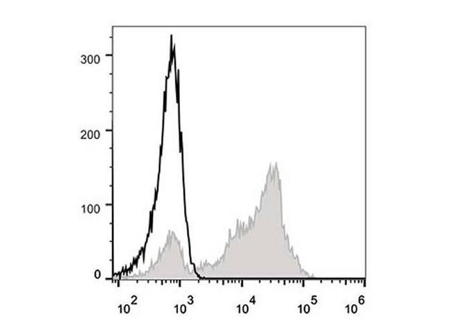 CD5 Antibody