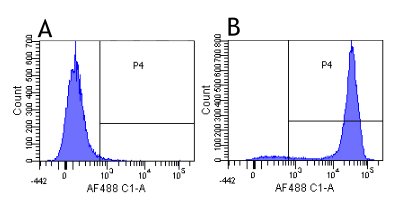 CD52 Antibody - Flow-cytometry on human lymphocytes.