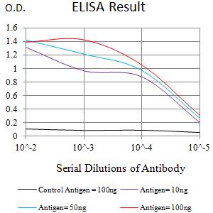 CD53 Antibody - Black line: Control Antigen (100 ng);Purple line: Antigen (10ng); Blue line: Antigen (50 ng); Red line:Antigen (100 ng)