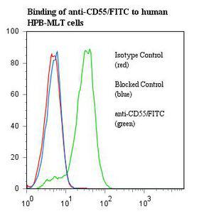 CD55 Antibody - Flow cytometry of CD55 antibody This image was taken for the unconjugated form of this product. Other forms have not been tested.