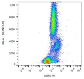 CD55 Antibody - Surface staining of human peripheral blood cells with anti-CD55 (MEM-118) PE.