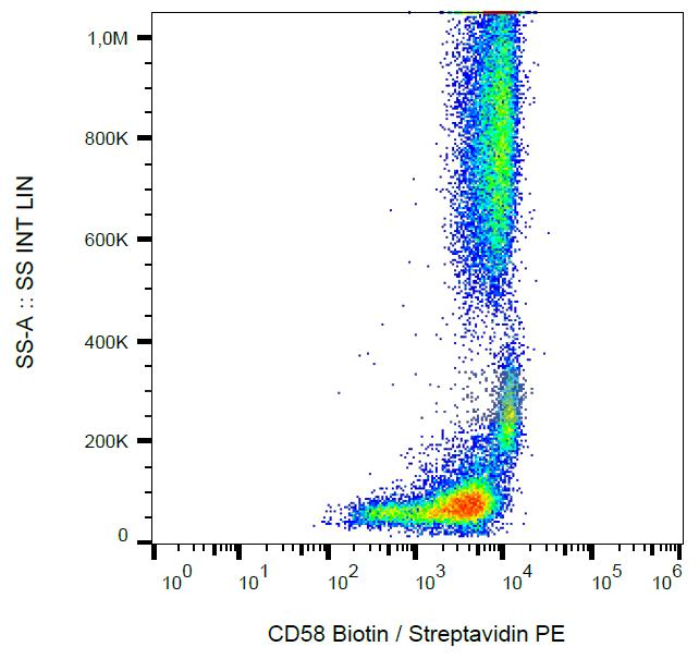 CD58 Antibody - Surface staining of human peripheral blood cells with anti-CD58 (MEM-63) biotin / streptavidin-PE.