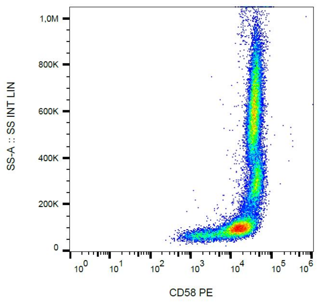 CD58 Antibody - Surface staining of human peripheral blood cells with anti-CD58 (MEM-63) PE.