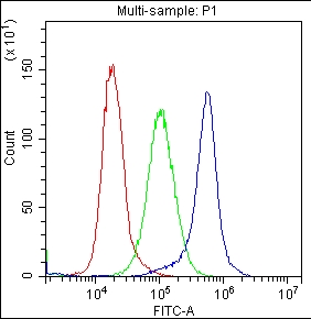 CD59 Antibody - Flow Cytometry analysis of K562 cells using anti-CD59 antibody. Overlay histogram showing K562 cells stained with anti-CD59 antibody (Blue line). The cells were blocked with 10% normal goat serum. And then incubated with rabbit anti-CD59 Antibody (1µg/1x106 cells) for 30 min at 20°C. DyLight®488 conjugated goat anti-rabbit IgG (5-10µg/1x106 cells) was used as secondary antibody for 30 minutes at 20°C. Isotype control antibody (Green line) was rabbit IgG (1µg/1x106) used under the same conditions. Unlabelled sample (Red line) was also used as a control.