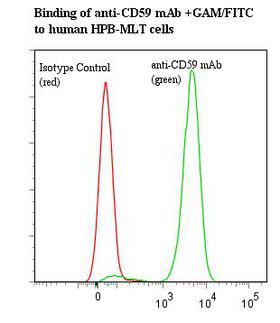 CD59 Antibody - Flow cytometry of CD59 antibody This image was taken for the unmodified form of this product. Other forms have not been tested.