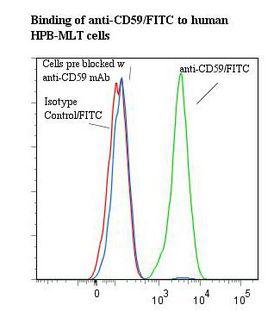 CD59 Antibody - Flow cytometry of CD59 antibody This image was taken for the unconjugated form of this product. Other forms have not been tested.