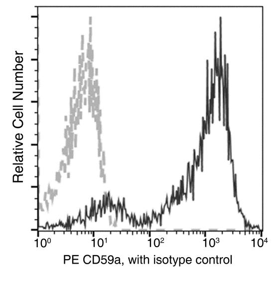 cd59a Antibody - Flow cytometric analysis of Mouse CD59a expression on BABL/c bone marrow erythroid cells. Cells were stained with PE-conjugated anti-Mouse CD59a. The fluorescence histograms were derived from gated events with the forward and side light-scatter characteristics of erythroid cells.