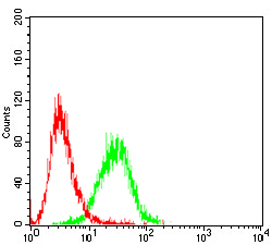 CD6 Antibody - Flow cytometric analysis of Jurkat cells using CD6 mouse mAb (green) and negative control (red).