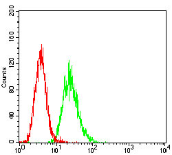CD6 Antibody - Flow cytometric analysis of Hela cells using CD6 mouse mAb (green) and negative control (red).