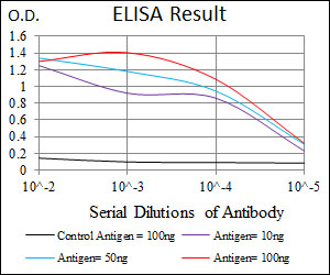 CD6 Antibody - Red: Control Antigen (100ng); Purple: Antigen (10ng); Green: Antigen (50ng); Blue: Antigen (100ng);