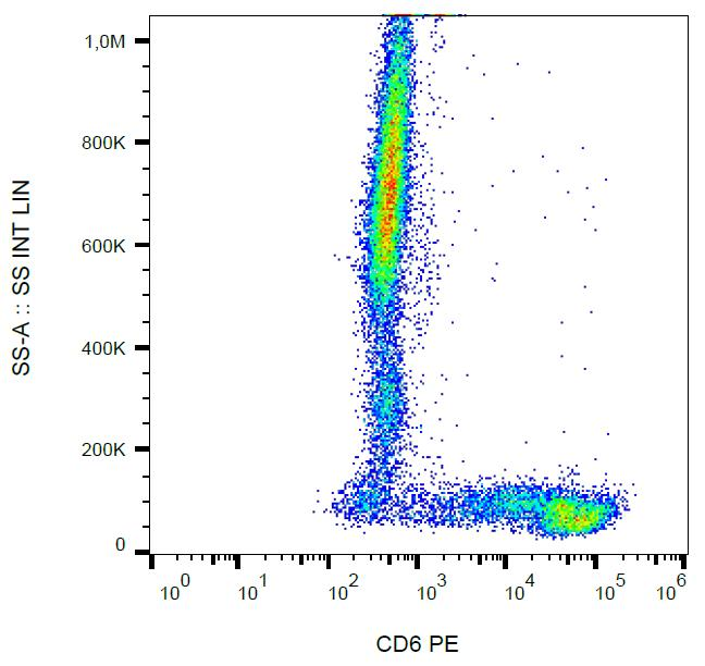 CD6 Antibody - Surface staining of human peripheral blood cells with anti-human CD6 (MEM-98) PE.  
