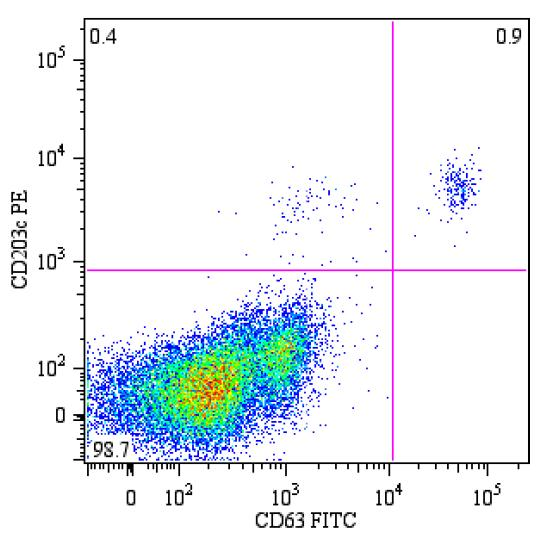 CD63 Antibody - Flow cytometry analysis of peripheral blood lymphocytes from a patient with allergy to bee venom after stimulation with bee venom, stained with anti-human CD63 (MEM-259) FITC.