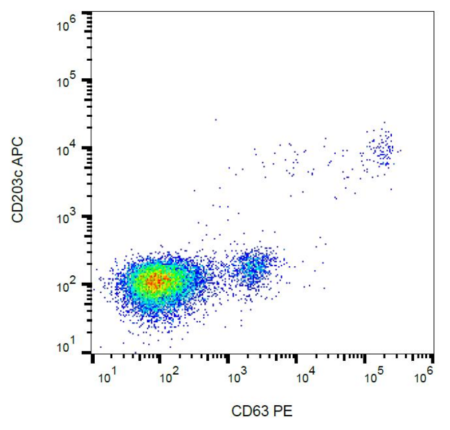 CD63 Antibody - Flow cytometry analysis of IgE-activated peripheral blood stained with anti-human CD63 (MEM-259) PE.