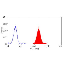 CD65s Antibody - Flow cytometry of human peripheral blood granulocytes with Mouse anti-Human CD65s:FITC This image was taken for the unconjugated form of this product. Other forms have not been tested.