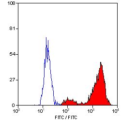 CD68 Antibody - Flow cytometry of rat peritoneal macrophages cells with Mouse anti-Rat CD68:FITC following permeabilisation with Leucoperm This image was taken for the unconjugated form of this product. Other forms have not been tested.