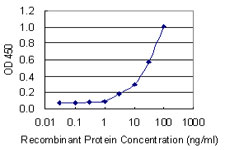 CD69 Antibody - Detection limit for recombinant GST tagged CD69 is 1 ng/ml as a capture antibody.