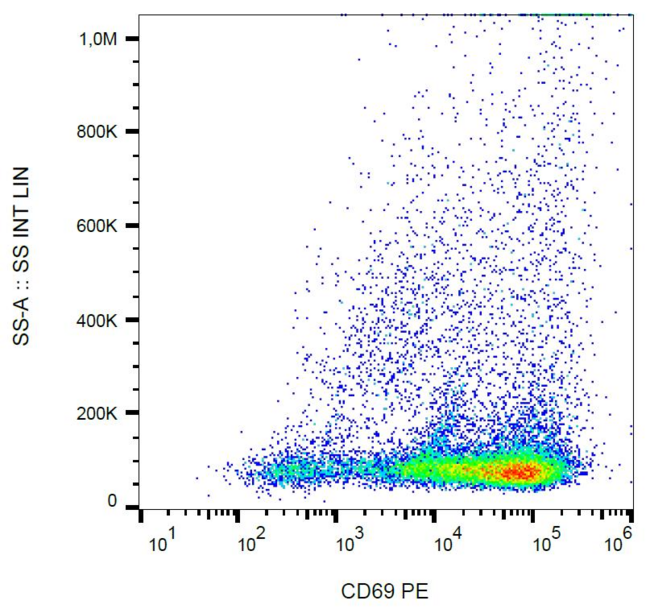 CD69 Antibody - Surface staining of human PHA-activated peripheral blood using anti-CD69 antibody (clone FN50) PE.