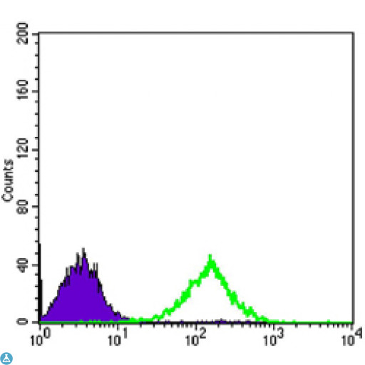 CD69 Antibody - Flow cytometric (FCM) analysis of Jurkat cells using CD69 Monoclonal Antibody (green) and negative control (purple).