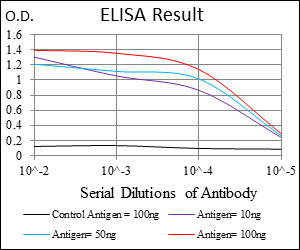 CD7 Antibody - Red: Control Antigen (100ng); Purple: Antigen (10ng); Green: Antigen (50ng); Blue: Antigen (100ng);