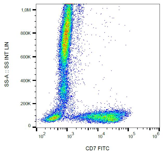 CD7 Antibody - Surface staining of human peripheral blood with anti-human CD7 (124-1D1) FITC.