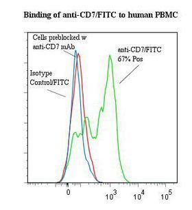CD7 Antibody - Flow cytometry of CD7 antibody This image was taken for the unconjugated form of this product. Other forms have not been tested.